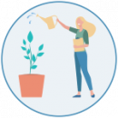 Plantes d'intérieur